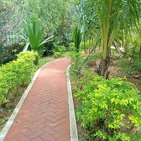Real Ibiza Villa